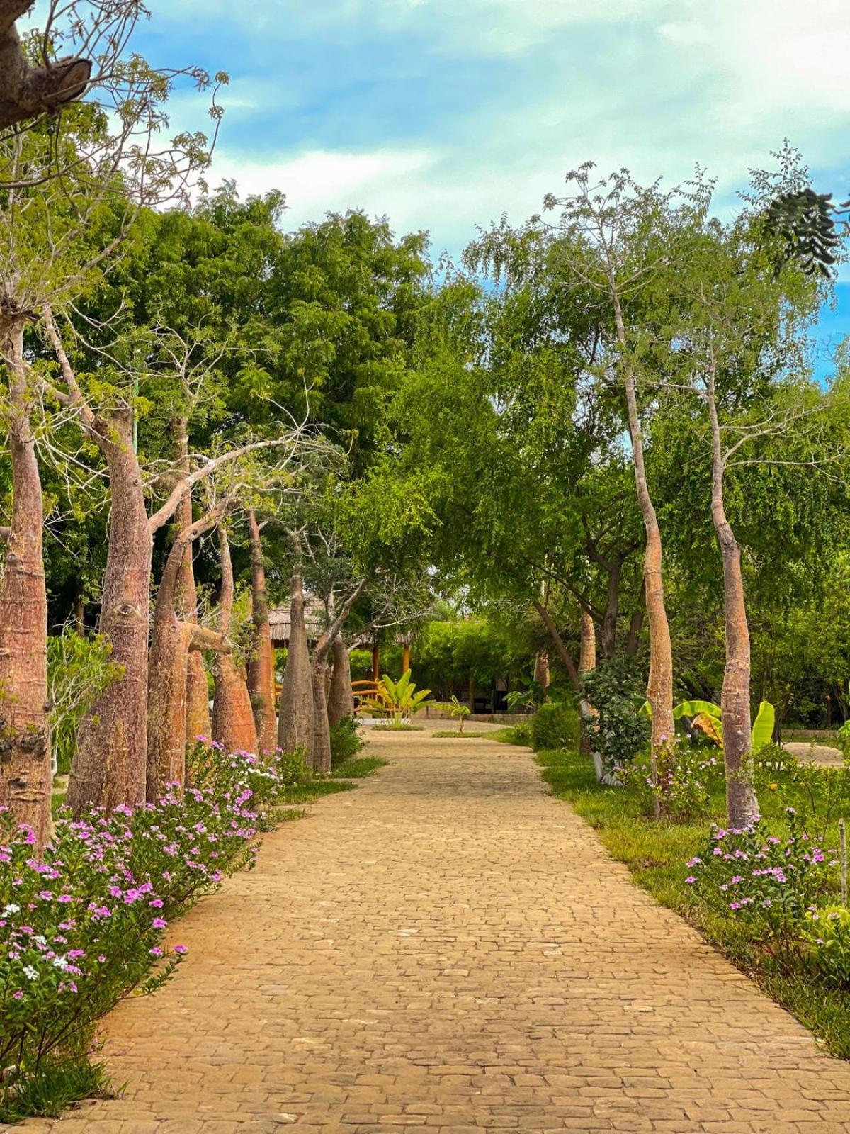 Vovo Telo Lodge توليارا المظهر الخارجي الصورة