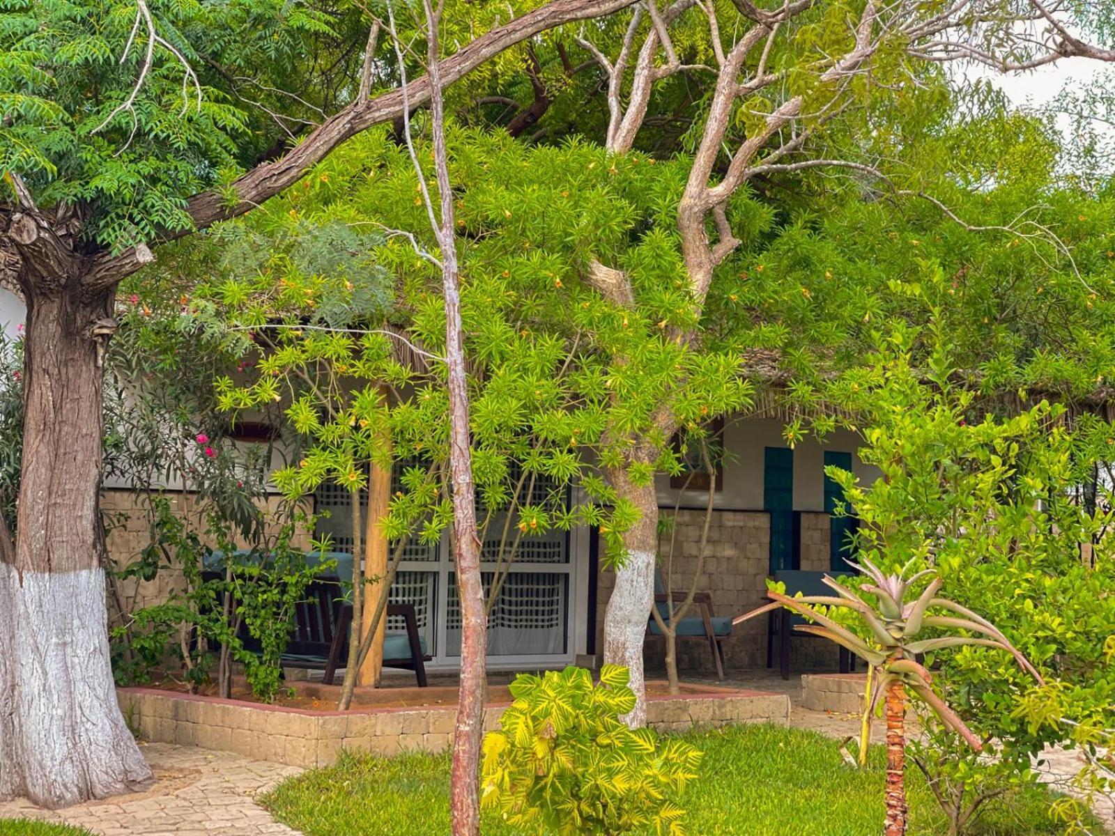 Vovo Telo Lodge توليارا المظهر الخارجي الصورة