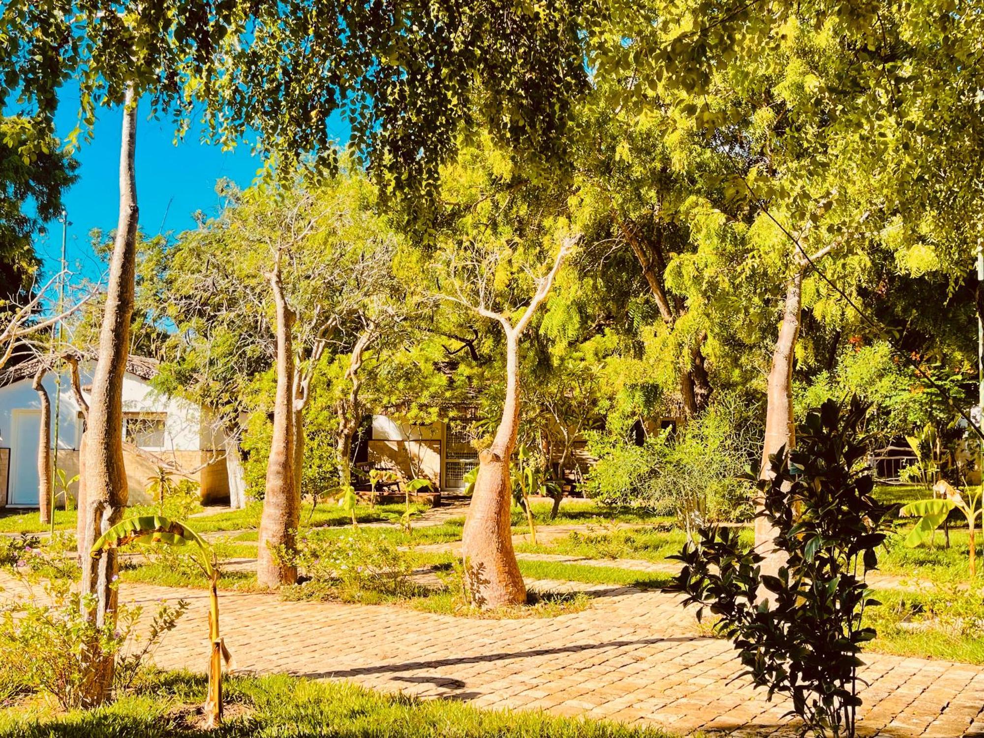 Vovo Telo Lodge توليارا المظهر الخارجي الصورة